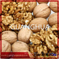 New Harvested High Quality Walnut in Shell